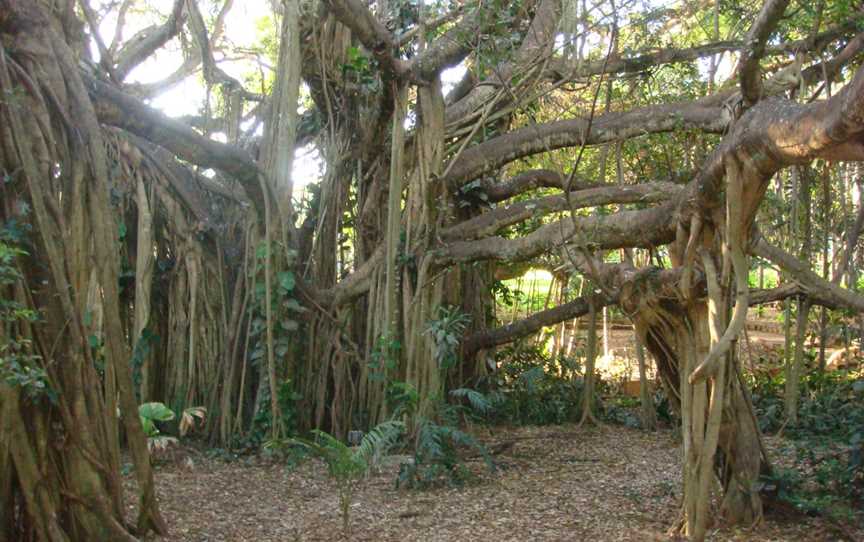 Rockhampton Botanic Gardens, Rockhampton, QLD