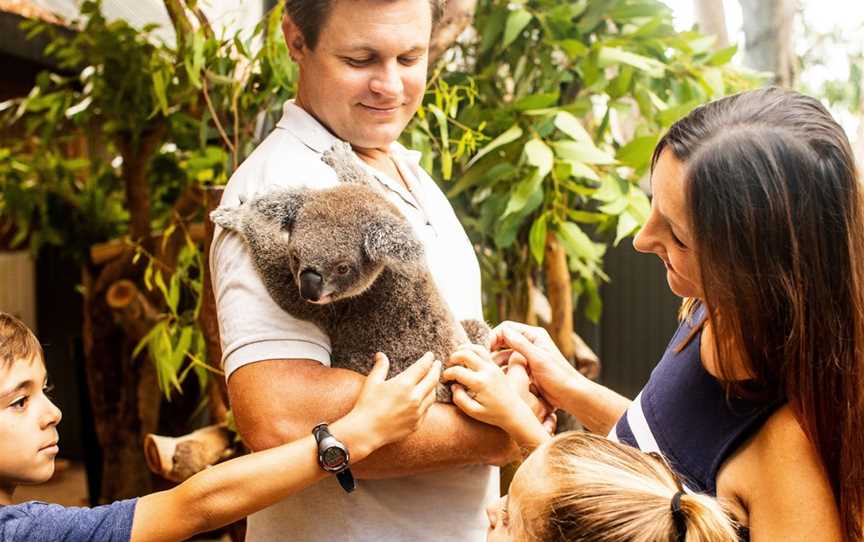 Hamilton Island Wildlife, Hamilton Island, QLD