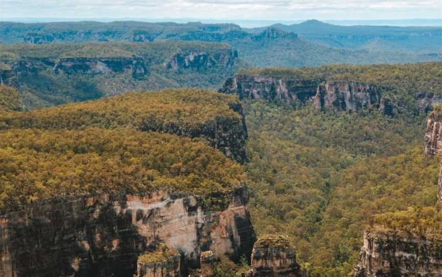 Carnarvon Gorge, Carnarvon National Park, QLD