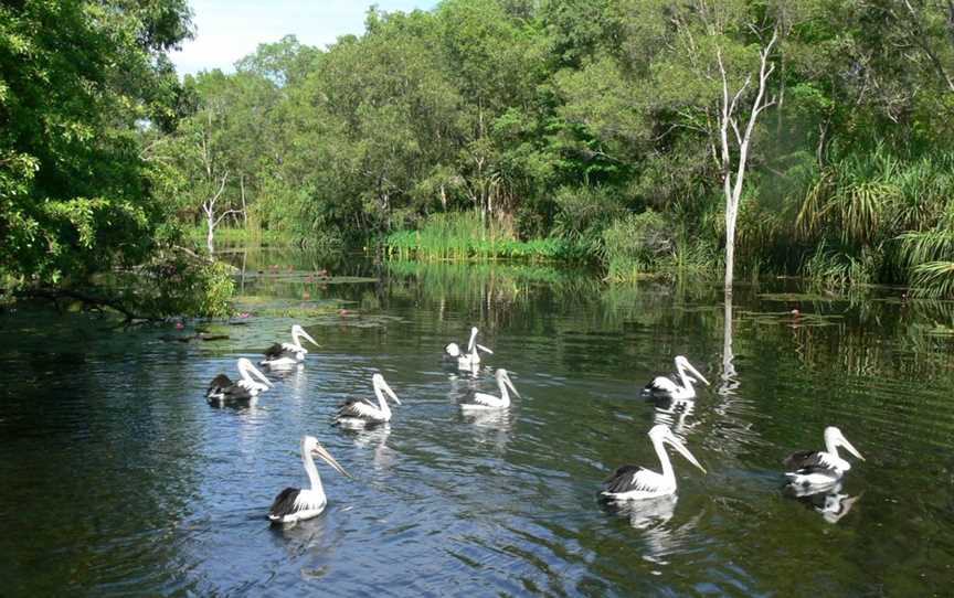 Territory Wildlife Park, Berry Springs, NT