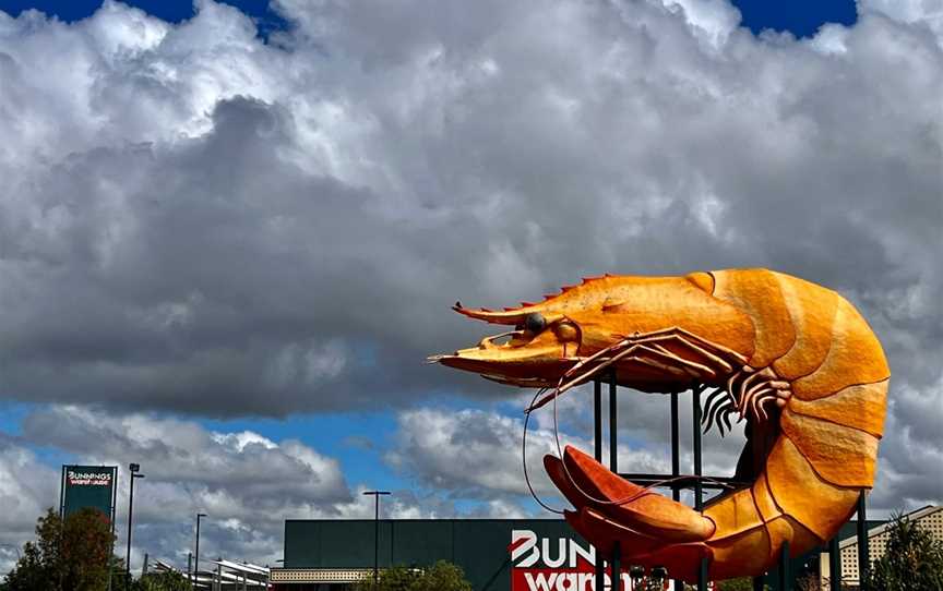 The Big Prawn, West Ballina, NSW