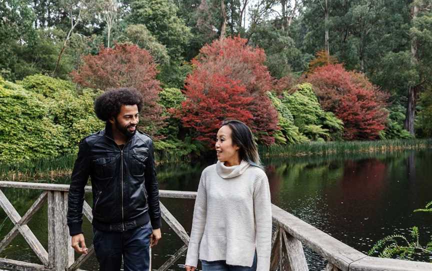 Dandenong Ranges Botanic Garden, Olinda, VIC