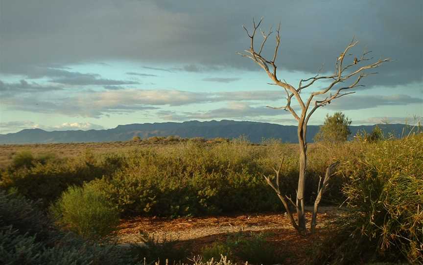 Australian Arid Lands Botanic Garden, Port Augusta, SA