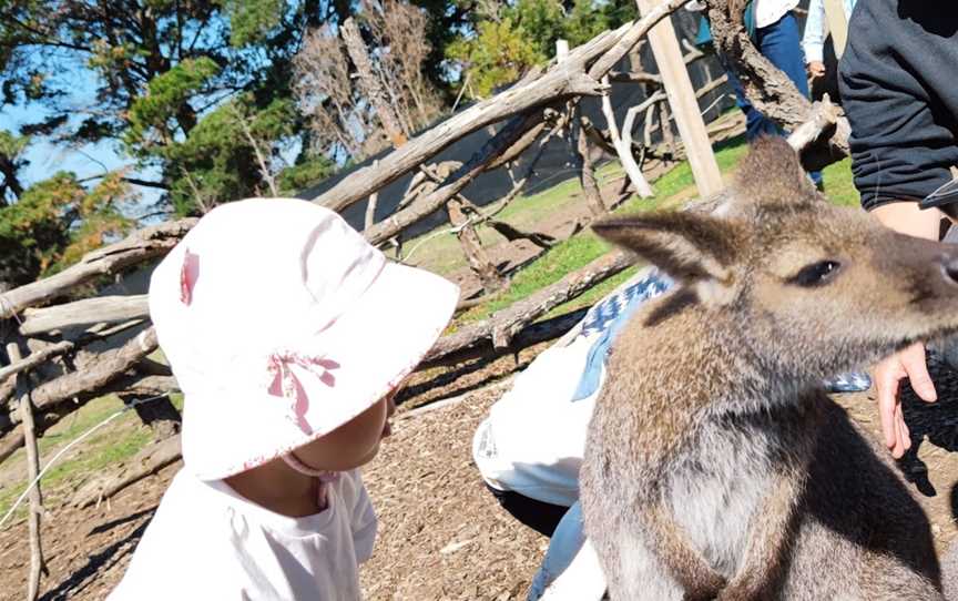 The Funky Farm (Bookings Only), Hastings, VIC