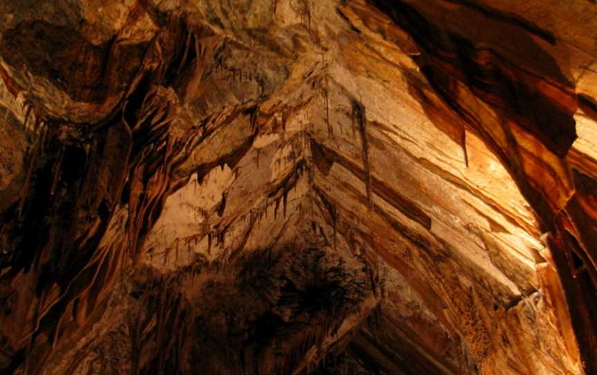 Gunns Plains Caves, Gunns Plains, TAS