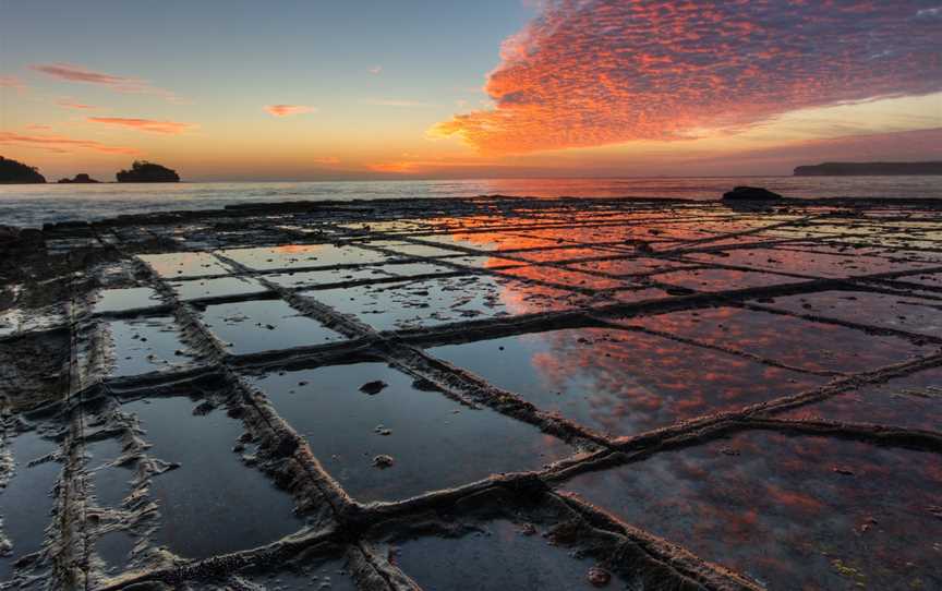 Tessellated Pavement, Eaglehawk Neck, TAS