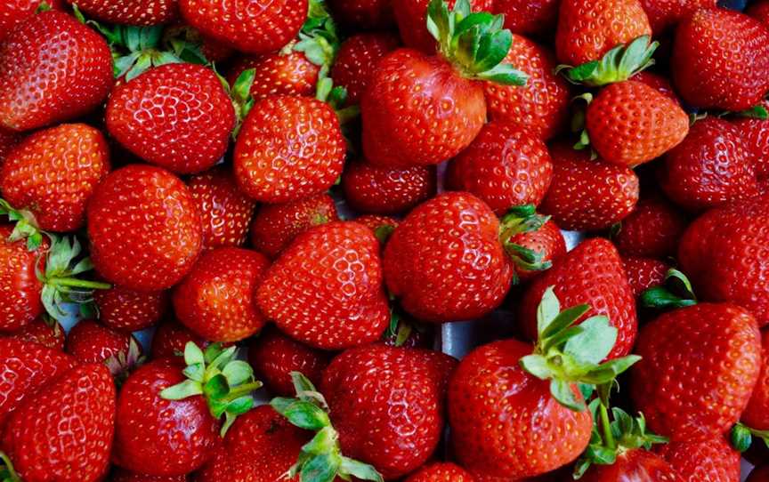 The Super Strawberry, Glen Innes, NSW