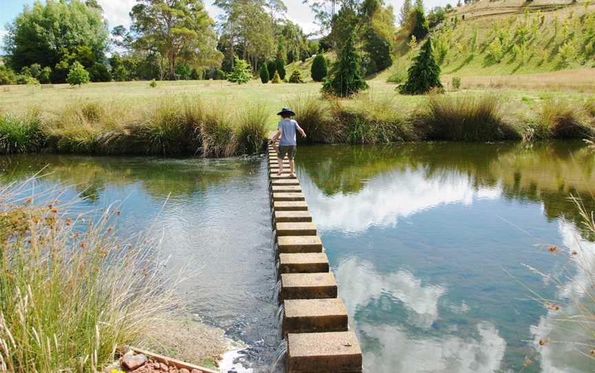 The Tasmanian Arboretum, Devonport, TAS