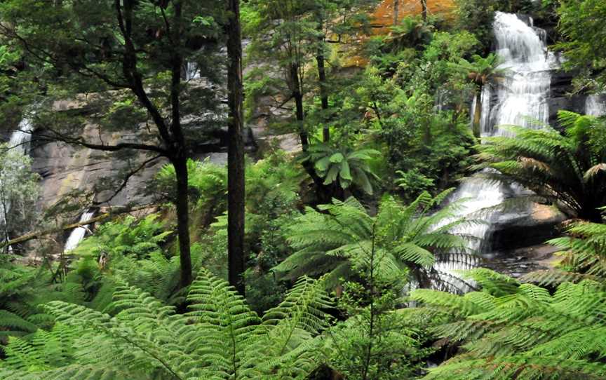 Triplet Falls, Beech Forest, VIC