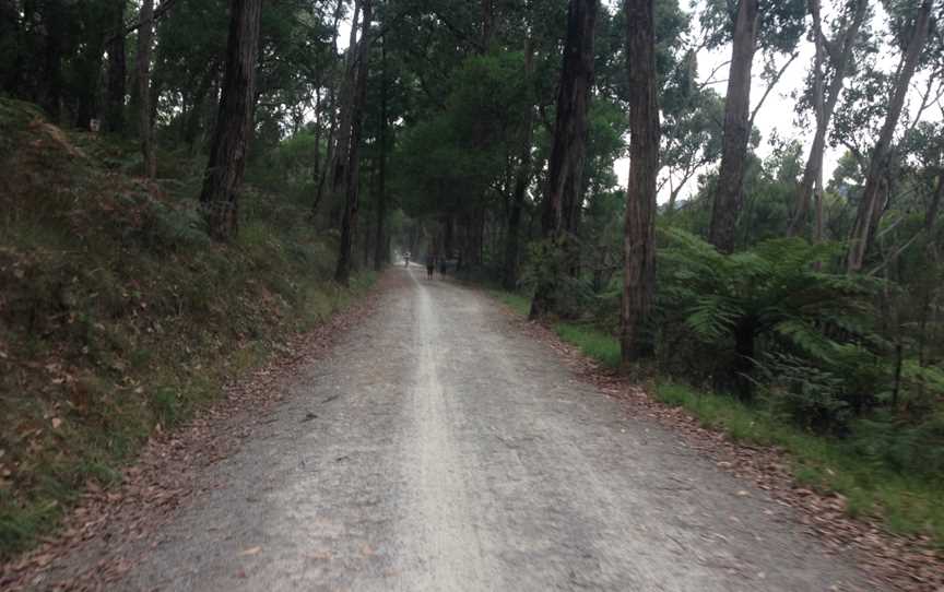 Lilydale to Warburton Rail Trail, Lilydale, VIC