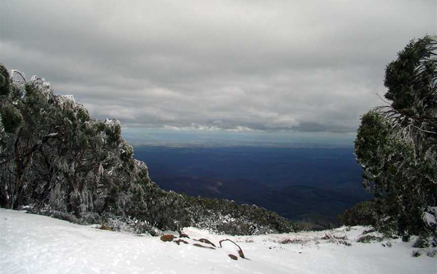 Mount Baw Baw, Mount Baw Baw, VIC