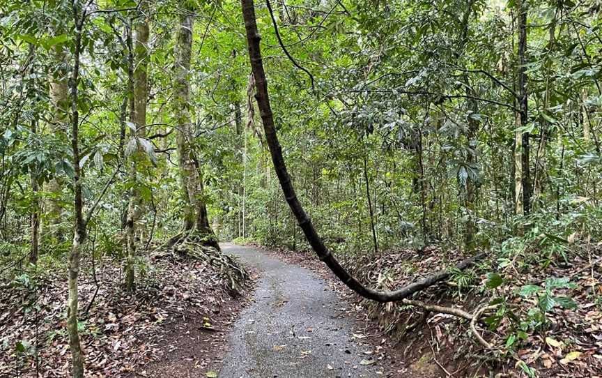 Mount Hypipamee Crater, Upper Barron, QLD