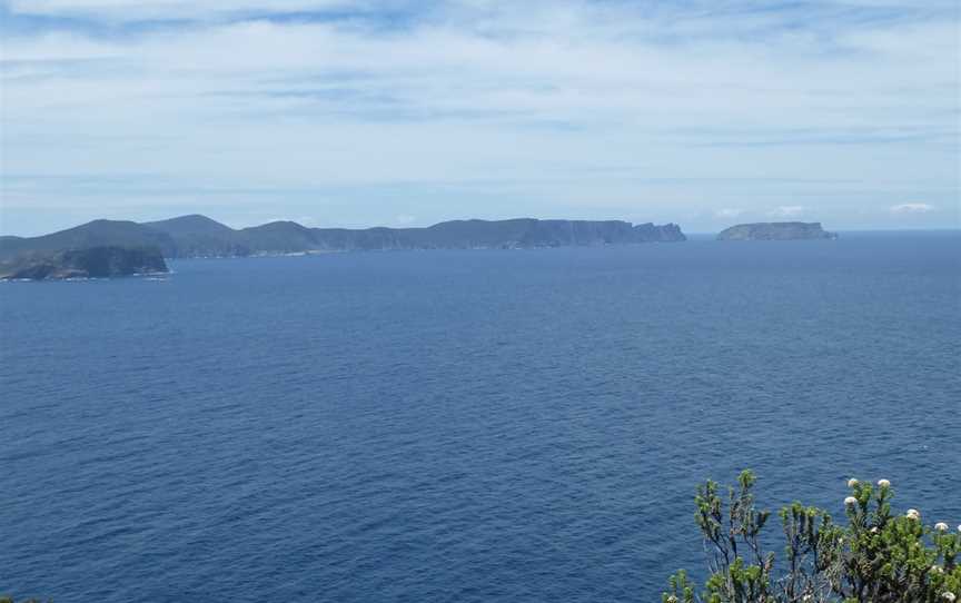 Cape Raoul, Port Arthur, TAS