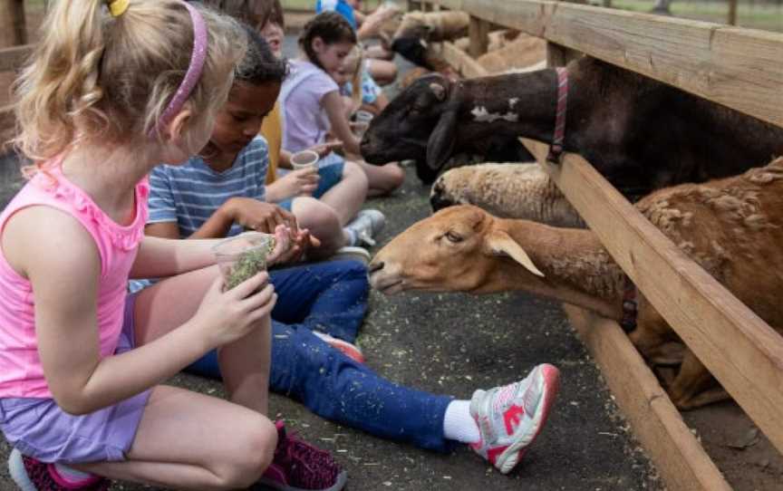 White Ridge Farm, Elimbah, QLD