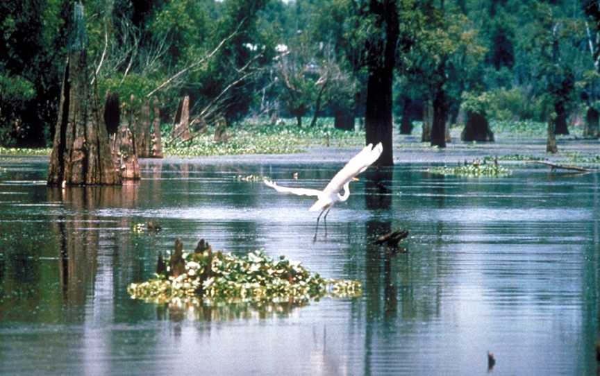 Serendip Sanctuary, Lara, VIC