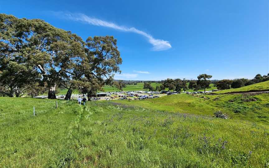 Collingrove Hillclimb, Mount Mckenzie, SA