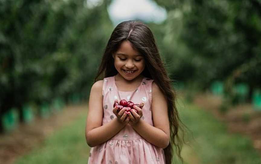 Cherryhill Orchards, Wandin East, VIC