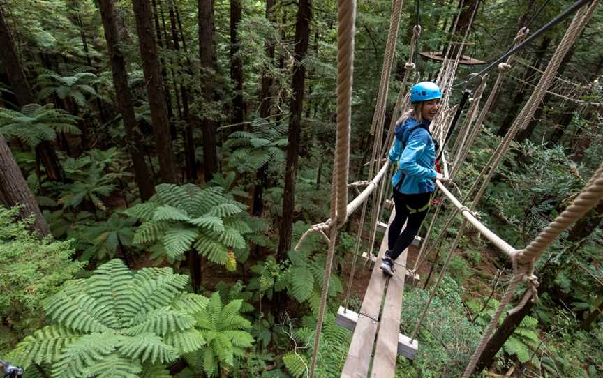 Redwoods Treewalk, Whakarewarewa, New Zealand