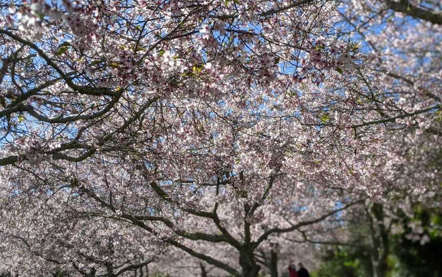 Auckland Botanic Gardens, The Gardens, New Zealand