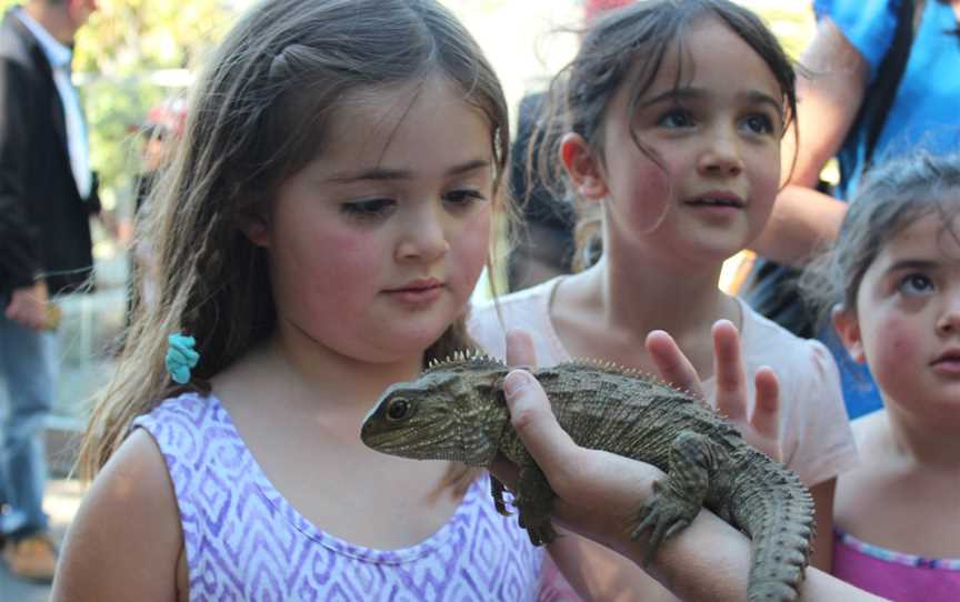 Wellington Zoo, Newtown, New Zealand