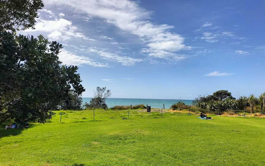 Long Bay Regional Park, Long Bay, New Zealand