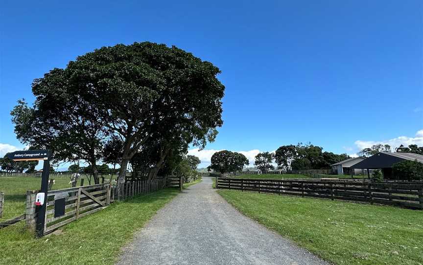 Ambury Regional Park, Mangere Bridge, New Zealand