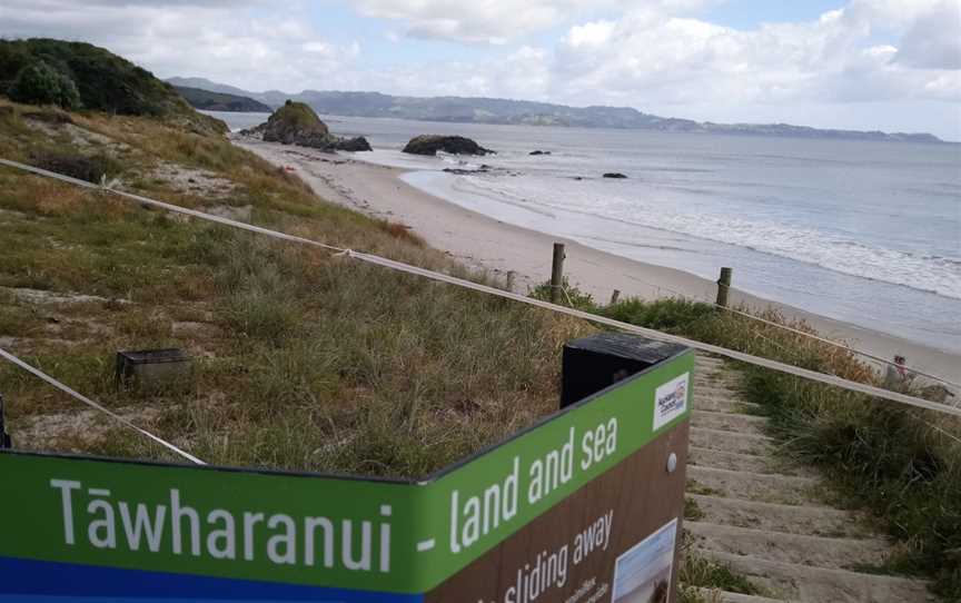 Tawharanui Regional Park, Warkworth, New Zealand