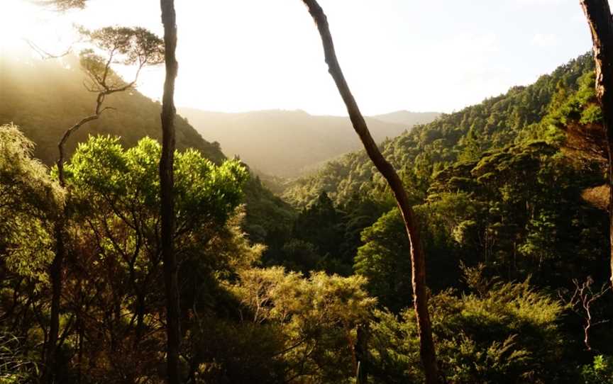 Kitekite Falls, Piha, New Zealand