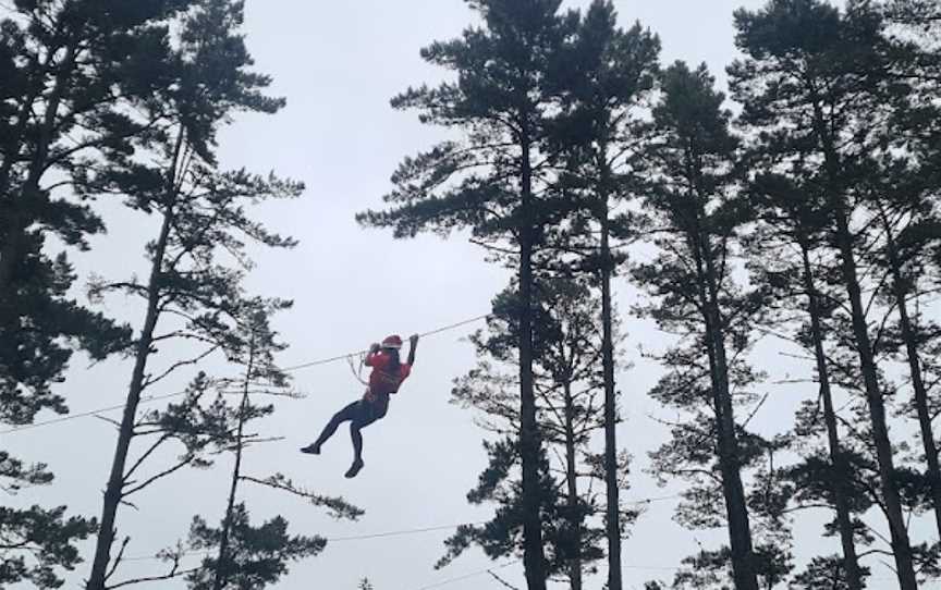 Adrenalin Forest Wellington, Aotea, New Zealand