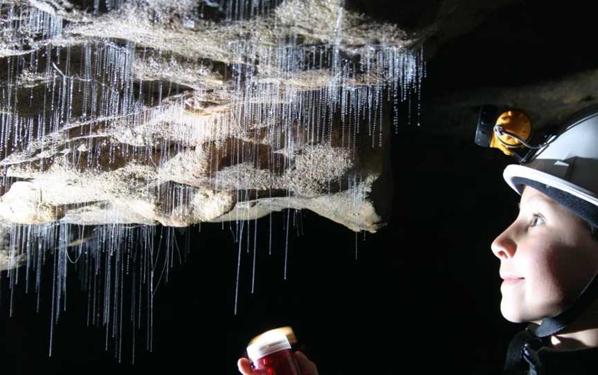 Spellbound Glowworm and Cave Tour, Ohakea, New Zealand