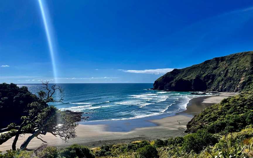 Te Henga Walkway, Waitakere, New Zealand