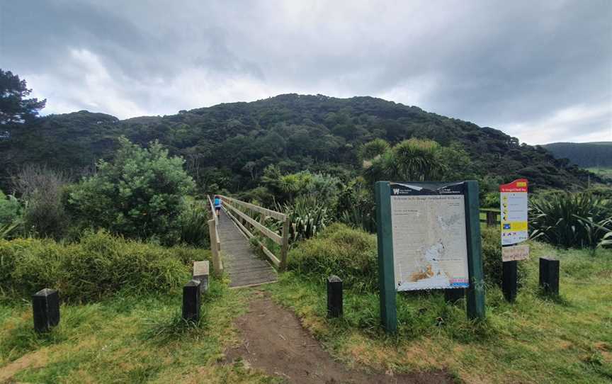 Te Henga Walkway, Waitakere, New Zealand