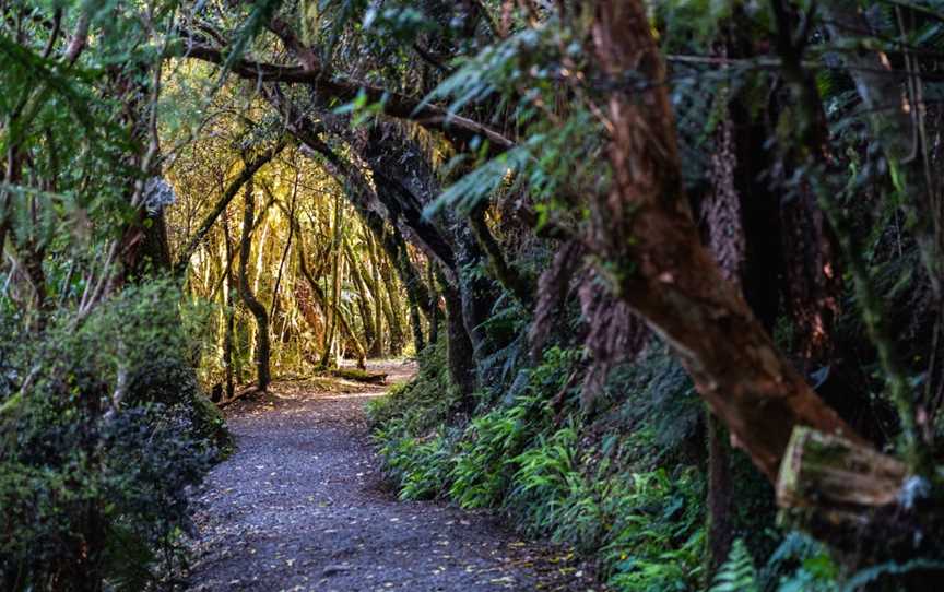 McLean Falls, Owaka, New Zealand