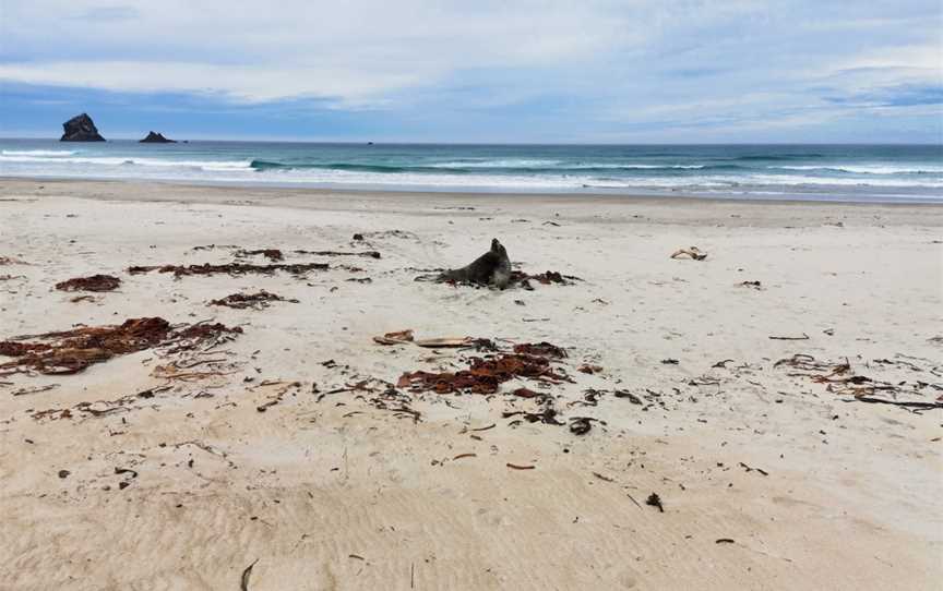 Sandfly Bay, Sandymount, New Zealand