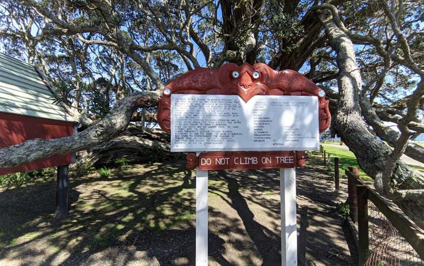 Te Waha O Rerekohu - Oldest Pohutukawa Tree, Te Araroa, New Zealand