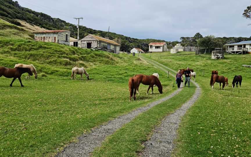 East Cape Lighthouse, Te Araroa, New Zealand