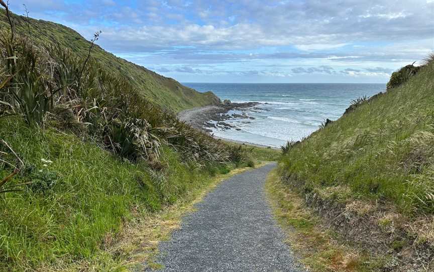 Roaring Bay Penguins & Seals Observatory, Balclutha, New Zealand