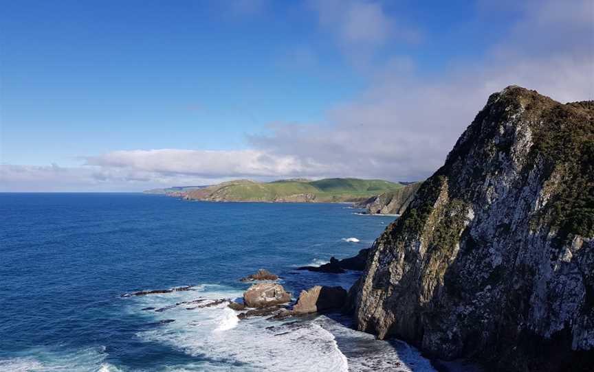 Roaring Bay Penguins & Seals Observatory, Balclutha, New Zealand