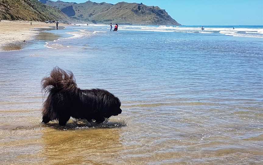 Kairakau Beach, Hastings, New Zealand