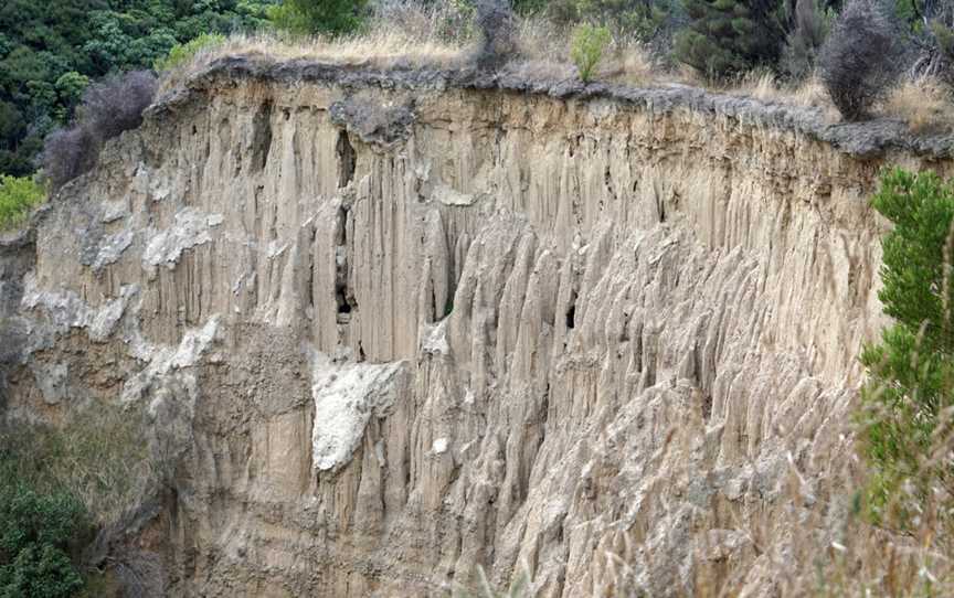 Cathedral Gully, Domett, New Zealand