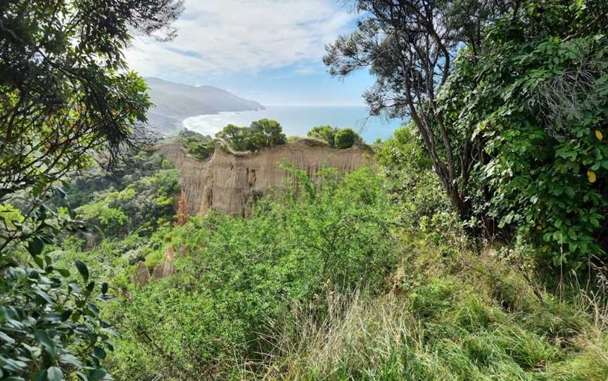 Cathedral Gully, Domett, New Zealand