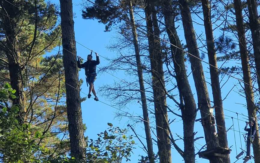 Adrenalin Forest Bay of Plenty, Tauranga, New Zealand