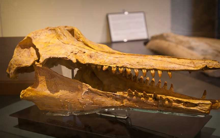 Vanished World Centre, Duntroon, New Zealand