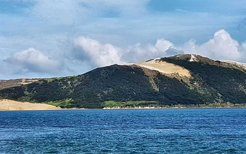 Opo the dolphin, Opononi, New Zealand