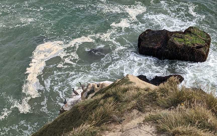 Cliffs at Fortrose (Mataura River Mouth), Fortrose, New Zealand