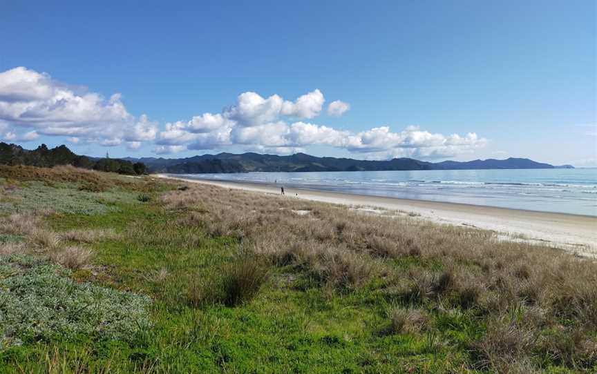 Matarangi Beach, Matarangi, New Zealand