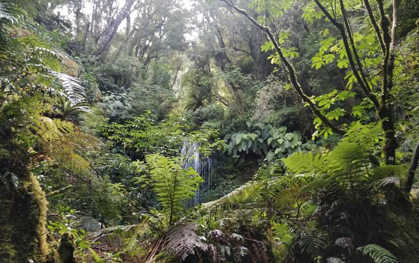 Koropuku Falls, Riverton, New Zealand