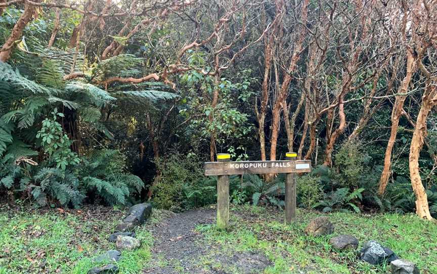 Koropuku Falls, Riverton, New Zealand