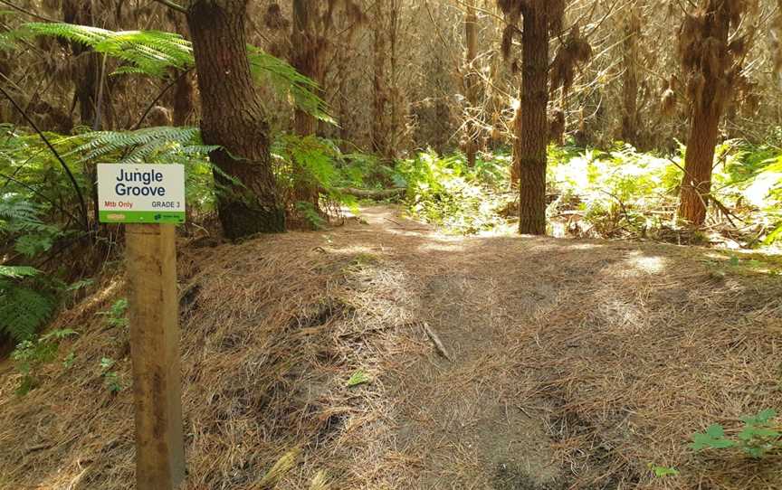 Onepu Community Park, Te Teko, New Zealand