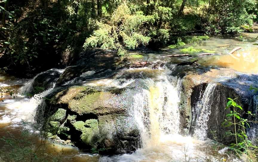 Morrinsville River Walk, Morrinsville, New Zealand